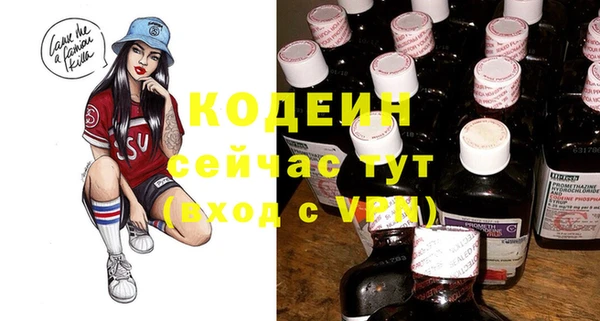 дурь Алексин
