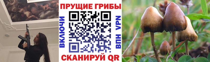 Галлюциногенные грибы прущие грибы  где продают   Киренск 