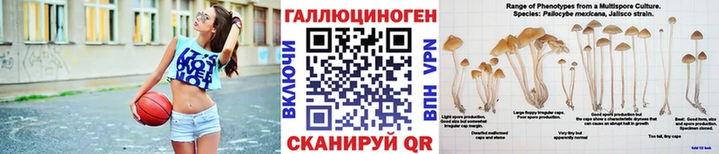 Псилоцибиновые грибы Cubensis Киренск